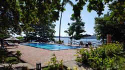 Dive into Lembeh at Hairball Resort - swimming pool.